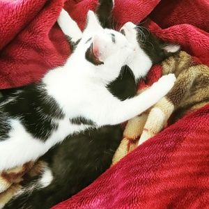 Meet your Posher, Brandy